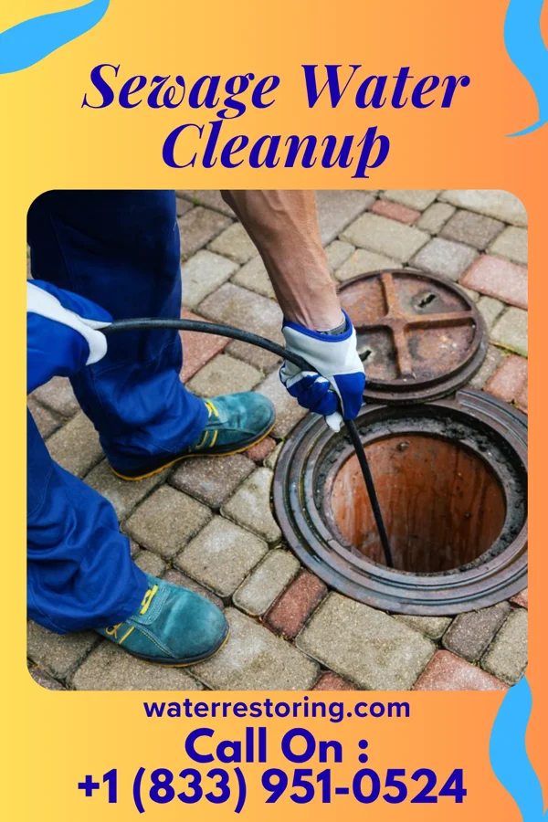 Sewage Water Cleanup in Lansing, MI