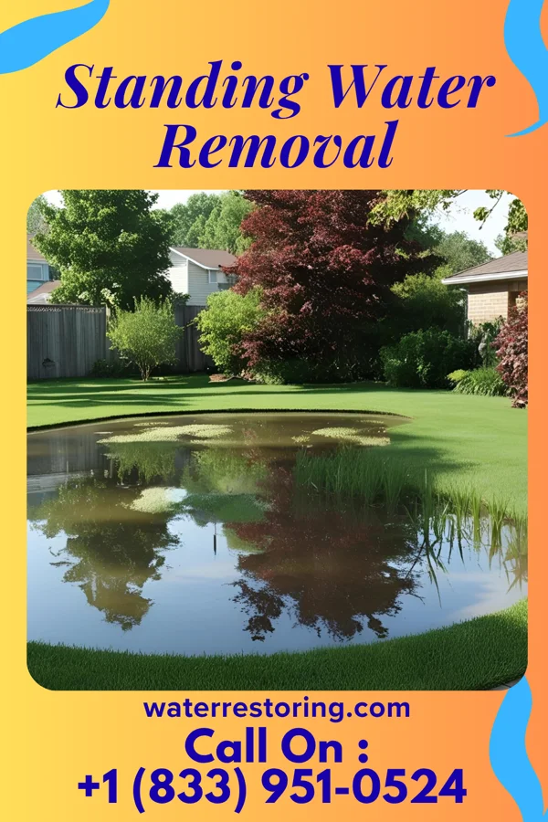 Standing Water Removal in Lansing, MI